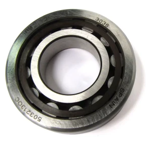 Bearing - Front Axle Casing All
