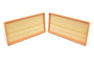 Air Filters, Set Of 2 By MANN, Original Equipment LR161843 or LR011593, For Land Rover LR4, Discovery 5, Range Rover Sport, And Range Rover Full Size L405 (See Fitment Years)
