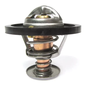 Thermostat - 200 Tdi