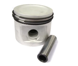 Piston Assembly - 3.9 - Standard