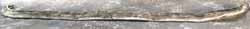 Weatherstrip - Top Rear Door
