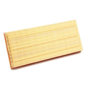 Genuine Air Filter LR161843 or LR011593 For Land Rover LR4, Discovery 5, Range Rover Sport, And Range Rover Full Size L405 (See Fitment Years)