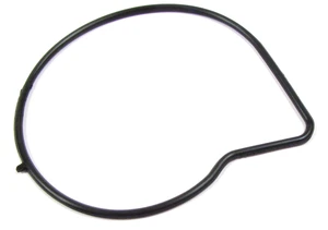 Water Pump Gasket - 3.2 L