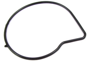 Water Pump Gasket - 3.2 L