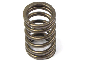 Genuine Valve Spring 4646003 For Land Rover LR3 V8, Range Rover Sport And Supercharged, Range Rover Full Size 4.4L And 4.2L L322 Jag Engine (See Fitment Years)