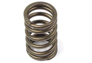 Genuine Valve Spring 4646003 For Land Rover LR3 V8, Range Rover Sport And Supercharged, Range Rover Full Size 4.4L And 4.2L L322 Jag Engine (See Fitment Years)