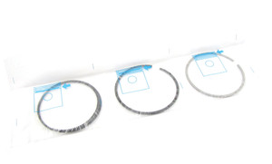 Piston Ring Set, Standard, Per Cylinder, For Range Rover Sport 2006 - 2009