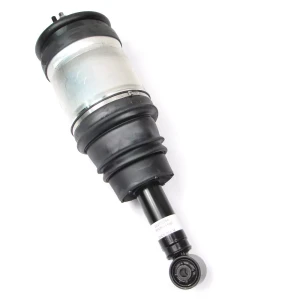 Rear Air Suspension Strut And Air Spring Assembly LR016419, Original Equipment, Left Or Right Hand, For Range Rover Sport With ACE Roll Stability Control, 2006 - 2009