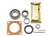 Wheel Bearing Kit Rear Spitfire, GT6 Swing Axle