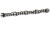 Camshaft ERR5250 For Land Rover Discovery Series II And Range Rover P38 4.6 Liter, 2003 - 2004