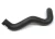 Hose - Radiator Bottom