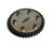 Cam Gear Vernier Dual TR6