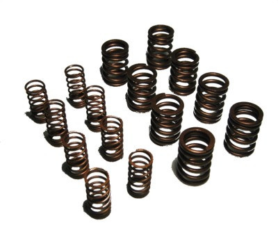 Valve Spring Set Dual Triumph Spitfire, MG Midget 1500