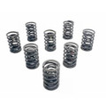 Valve Spring Set BN1-BN2 ,VS10084