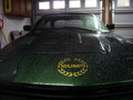 1978-1981 Triumph TR7 OEM Front Hood Bonnet Laurel Badge Decal Transfer