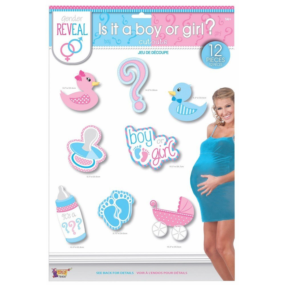 Gender Reveal Pink Blue Cute Baby Shower Party Supplies Wall Decoration Cutouts - Parties Plus Gender Reveal Pink Blue Cute Baby Shower Party Supplies Wall Decoration Cutouts - Parties Plus