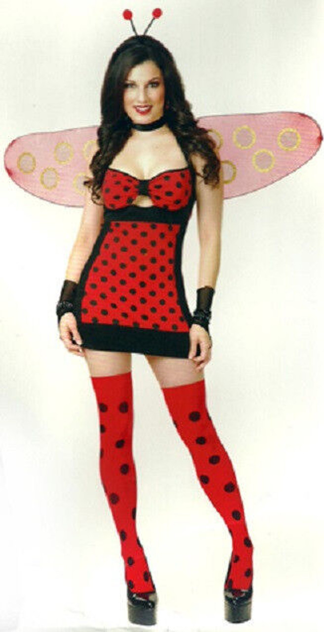 Adult Lovely Ladybug Costume