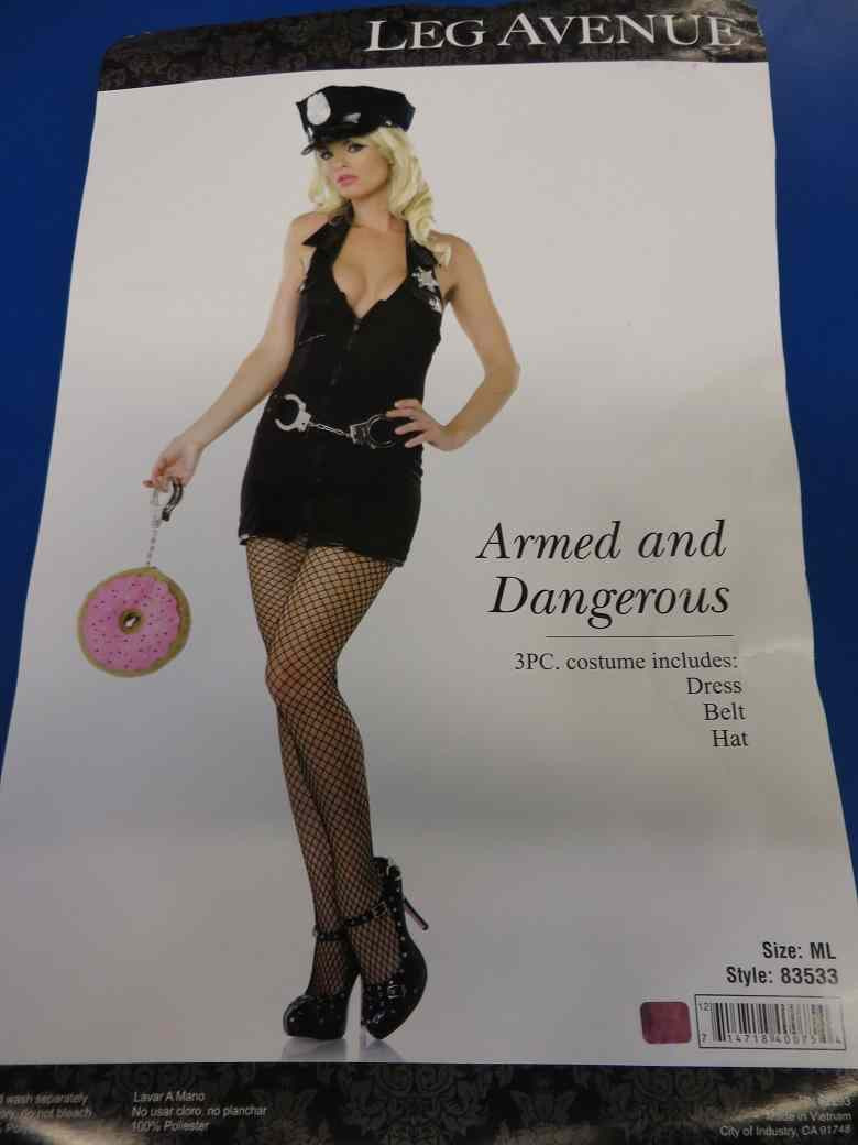 Armed & Dangerous Police Officer Cop Fancy Dress Halloween Sexy Adult — free download