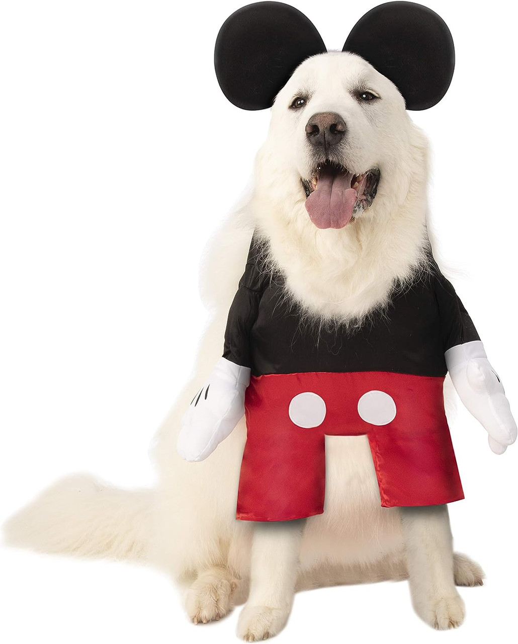 Mickey & Minnie Mouse Family Costumes | Party City