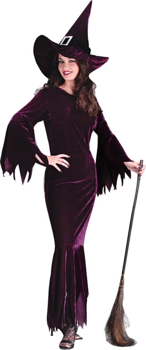Elegant Witch Plum Wicked Gothic Lady Fancy Dress Up Halloween Adult Costume  - Parties Plus