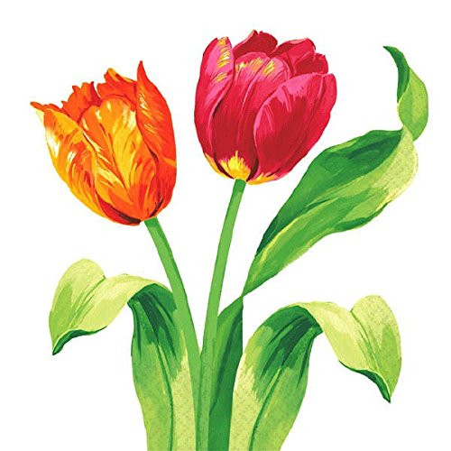 Bright Tulips Spring Floral Flower Garden Theme Party Paper Beverage Napkins
