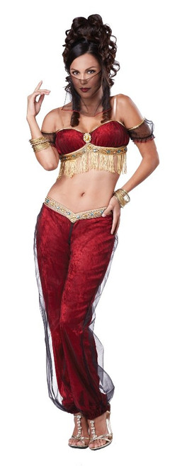 Dreamy Genie Eye Candy Adult Costume