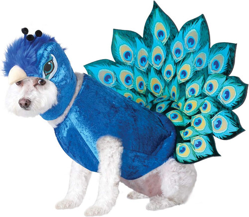 Peacock ImPawsters Pet Costume