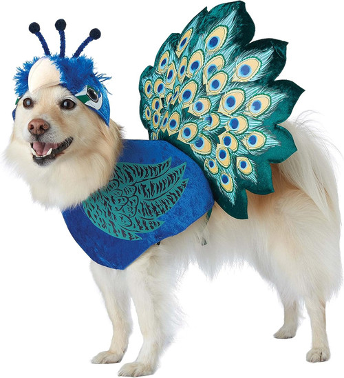 Pretty as a Peacock ImPawsters Pet Costume
