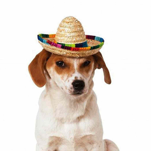 Straw Sombrero Pet Costume Accessory