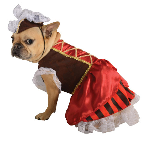 Pirate Girl Pet Shop Boutique Pet Costume