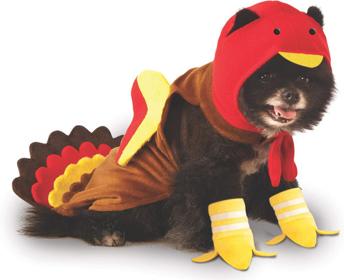 Turkey Pet Shop Boutique Pet Costume