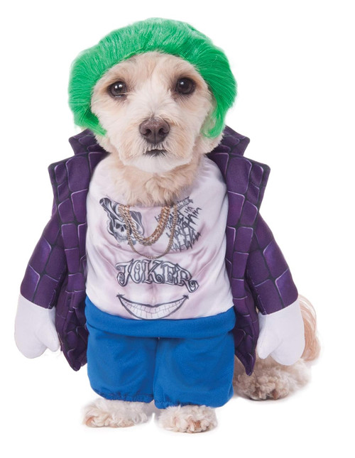 The Joker Suicide Squad Pet Costume