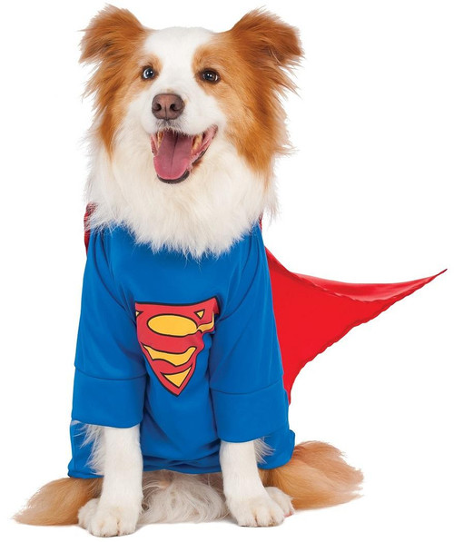 Superman DC Comics Big Dogs Pet Shop Boutique Costume