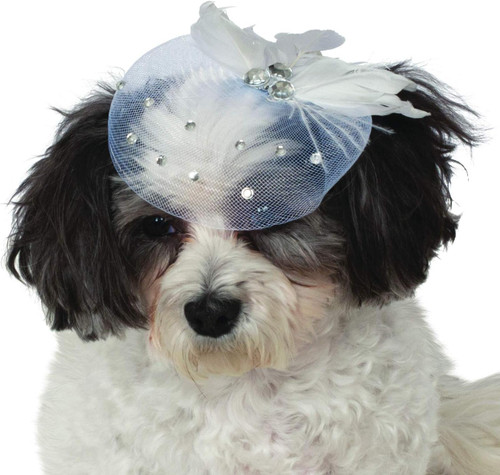 Formal Hat Pet Shop Pet Costume Accessory