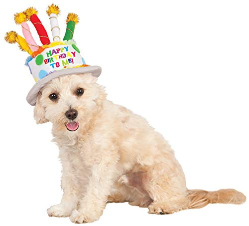 Birthday Cake Hat Pet Costume Accessory