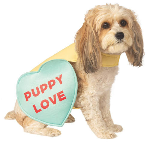 Candy Heart Pet Shop Boutique Pet Costume