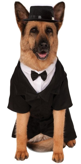 Dapper Dog Big Dogs Pet Shop Boutique Costume