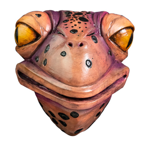 Agent Toad Latex Mask Umbrella Academy Adult Costume Accessory