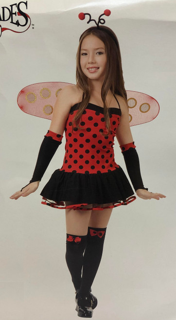 Miss Lady Bug Insect Animal Ladybug Cute Fancy Dress Up Halloween Child Costume