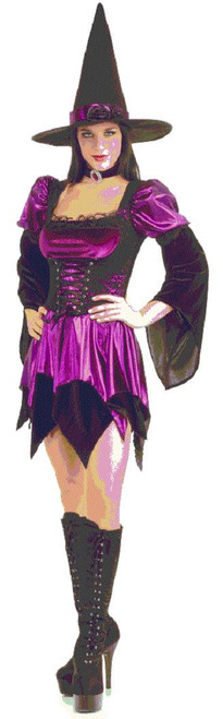 Sexy Witch Wicked Purple Secret Wishes Fancy Dress Up Halloween Adult Costume
