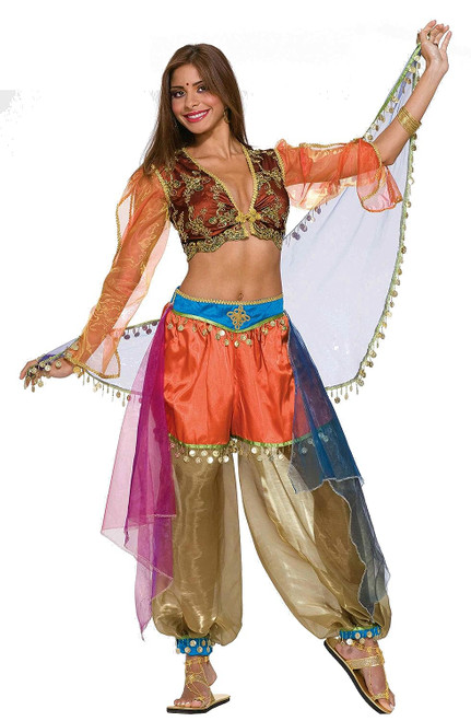 Harem Dancer Girl Arab Belly Woman Fancy Dress Halloween Deluxe Adult Costume