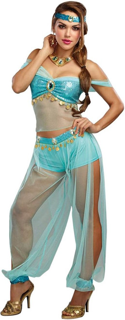 Harem Princess Jasmine Arabian Aladdin Fancy Dress Up Halloween Adult Costume