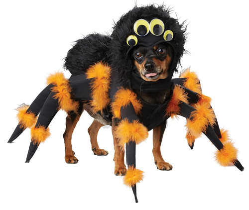 Spider Pup Animal Bug Insect Arachnid Fancy Dress Halloween Pet Dog Cat Costume