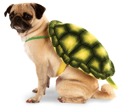 Turtle Shell Animal Funny Cute Fancy Dress Pet Shop Halloween Dog Cat Costume