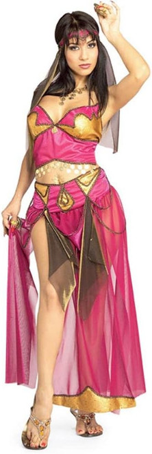 Steamy Genie Women's Halloween Costume Dreamy Arabian Dancer Harem Dress  Gown