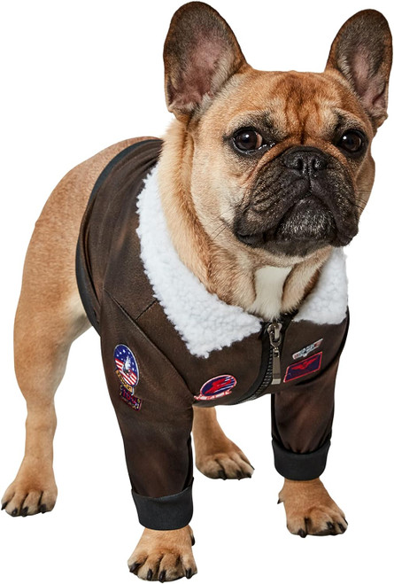 Top Gun Bomber Jacket Pilot Brown Fancy Dress Up Halloween Dog Cat Pet Costume
