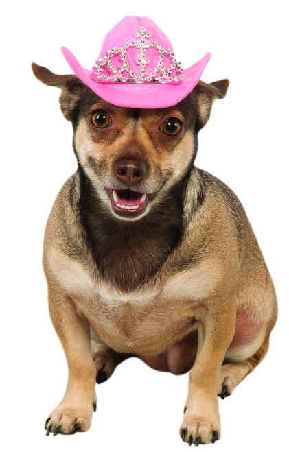 Pink Cowboy Hat Tiara Western Sheriff Fancy Dress Halloween Pet Dog Cat Costume