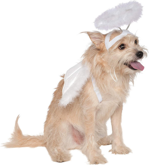 Angel Wings & Halo White Fancy Dress Up Halloween Pet Dog Cat Costume Accessory