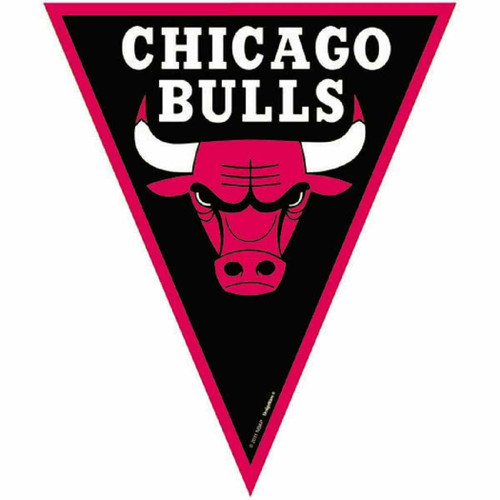 Chicago Bulls NBA Pro Basketball Sports Party Decoration Pennant Flag Banner