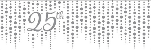 Sparkle & Shine Silver Wedding Anniversary Party Decoration Plastic Sign Banner